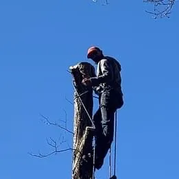 Affordable yard cleanup service experts serving Waynesville, NC - Patrick’s Lawncare & Landscaping