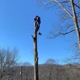 Local garden landscaping in Waynesville, NC by Patrick’s Lawncare & Landscaping