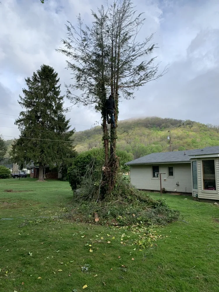 Trusted lawn mowing service experts serving Waynesville, NC - Patrick’s Lawncare & Landscaping