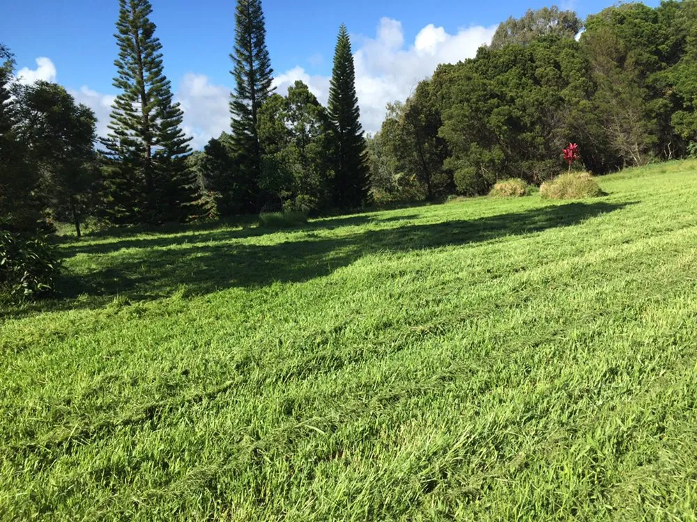 Trusted garden landscaping in Makawao, HI - Patrick's Yard Care