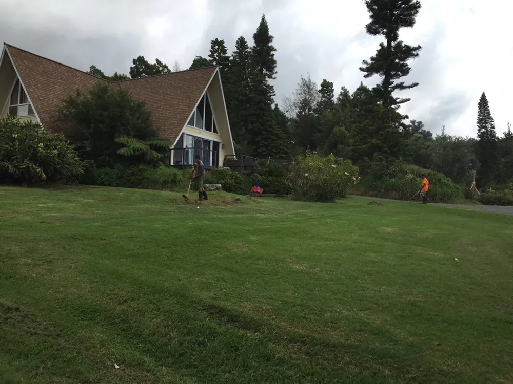 Affordable yard cleanup service near you in Makawao, HI by Patrick's Yard Care