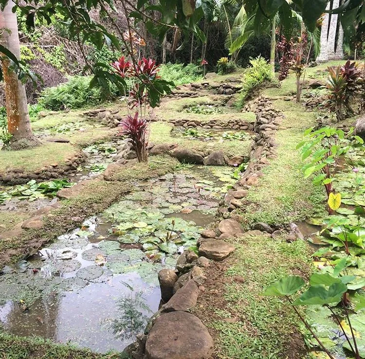 Reliable garden landscaping in Makawao, HI - Patrick's Yard Care