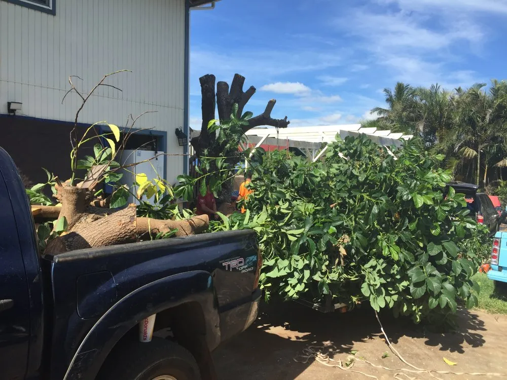 Reliable landscaping services in Makawao, HI by Patrick's Yard Care