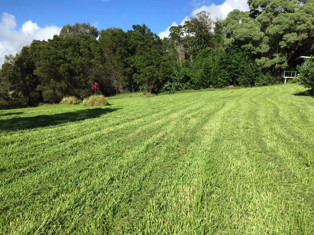 Trusted garden landscaping for year-round maintenance across Makawao, HI - Patrick's Yard Care