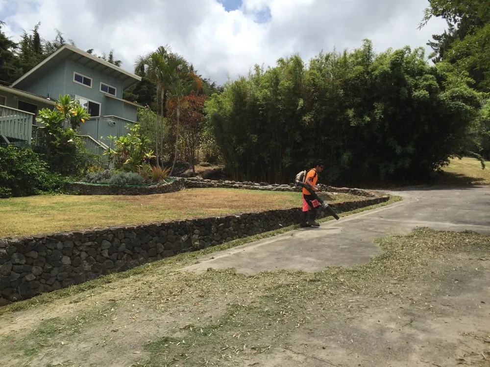 Professional landscape design in Makawao, HI by Patrick's Yard Care