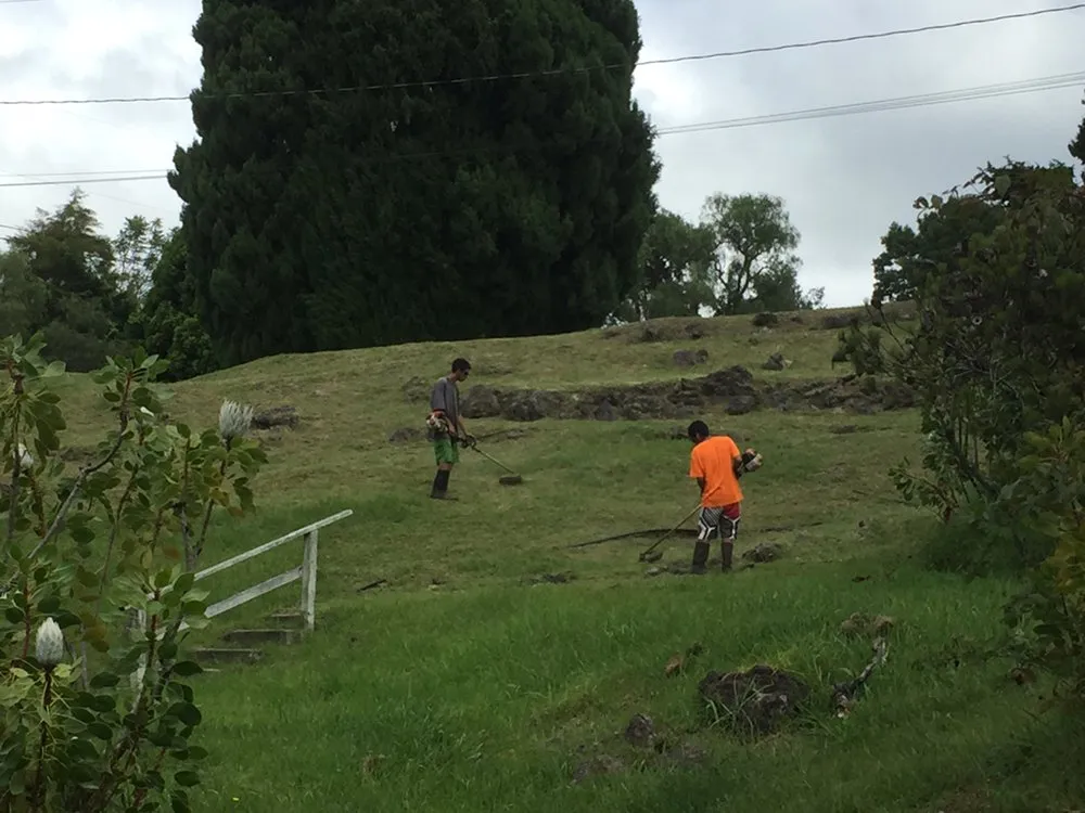 Trusted lawn mowing service with custom design in Makawao, HI by Patrick's Yard Care