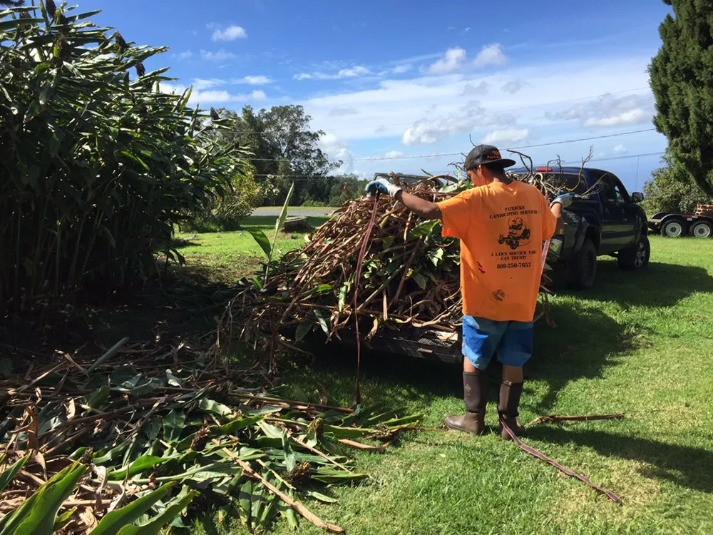 Professional landscaping services for year-round maintenance in Makawao, HI by Patrick's Yard Care