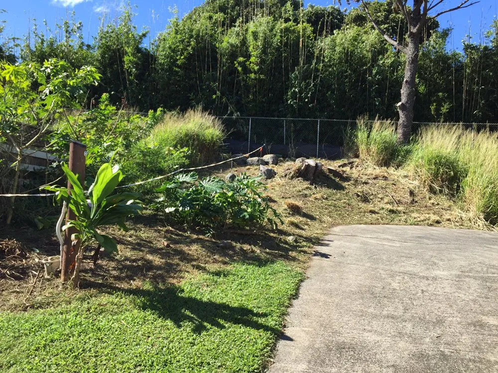 Custom residential landscaping for outdoor upgrades across Makawao, HI - Patrick's Yard Care