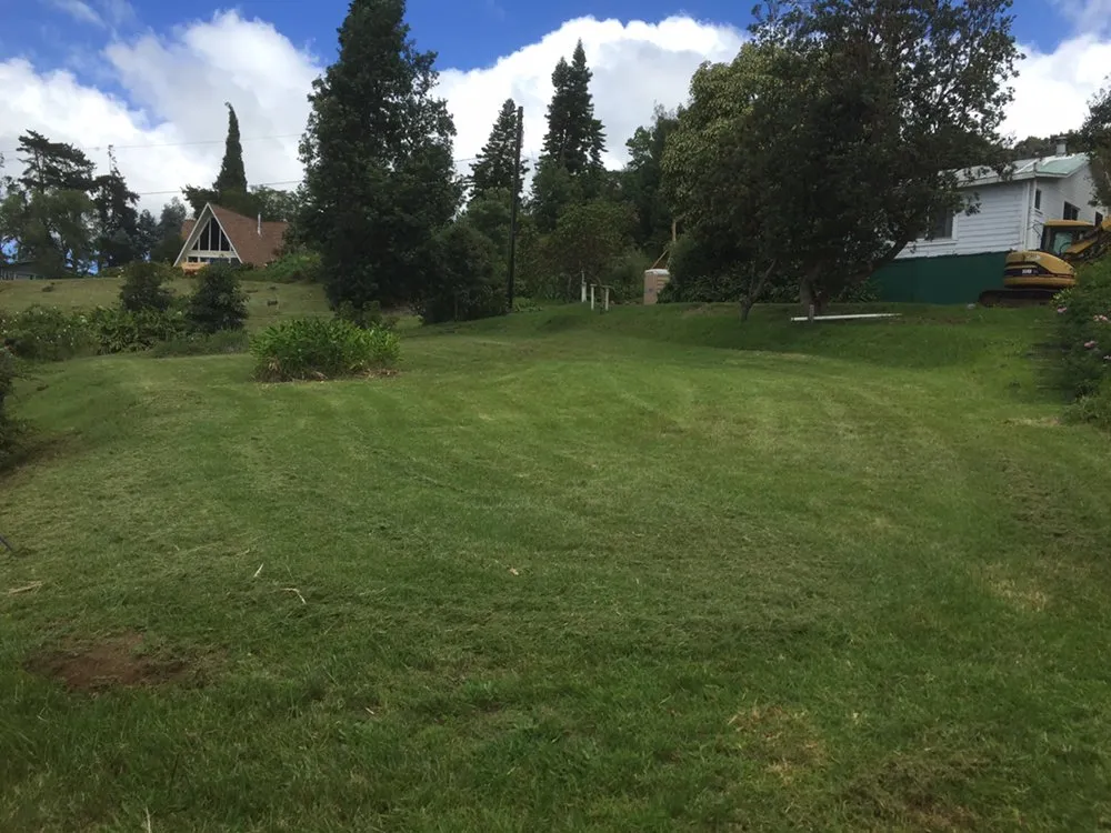 Local lawn care service for year-round maintenance across Makawao, HI - Patrick's Yard Care