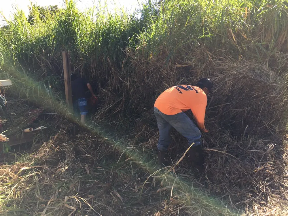 Professional residential landscaping for residential properties across Makawao, HI - Patrick's Yard Care