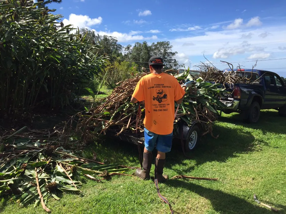Custom yard cleanup service in Makawao, HI - Patrick's Yard Care