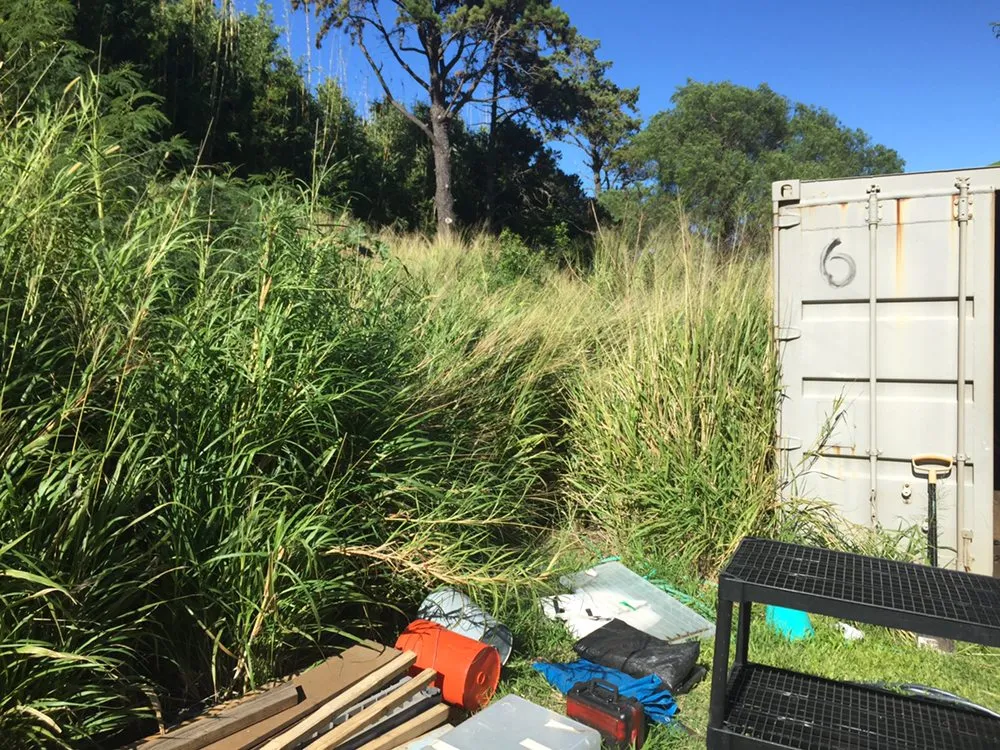 Trusted yard maintenance in Makawao, HI by Patrick's Yard Care