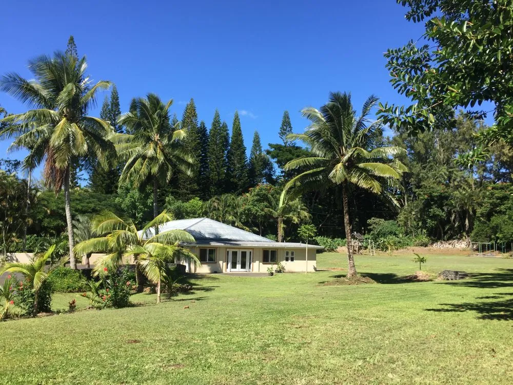 Reliable yard cleanup service in Makawao, HI by Patrick's Yard Care