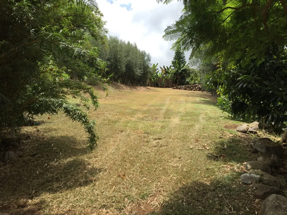 Trusted landscape design for year-round maintenance across Makawao, HI - Patrick's Yard Care
