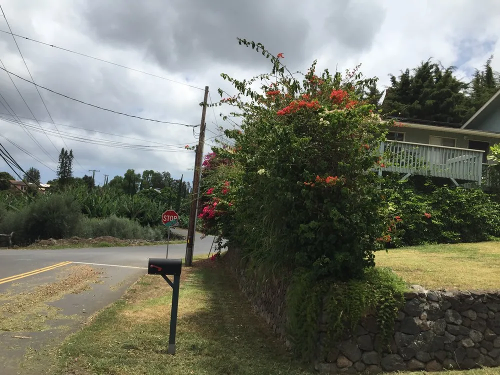 Professional lawn care service experts serving Makawao, HI - Patrick's Yard Care