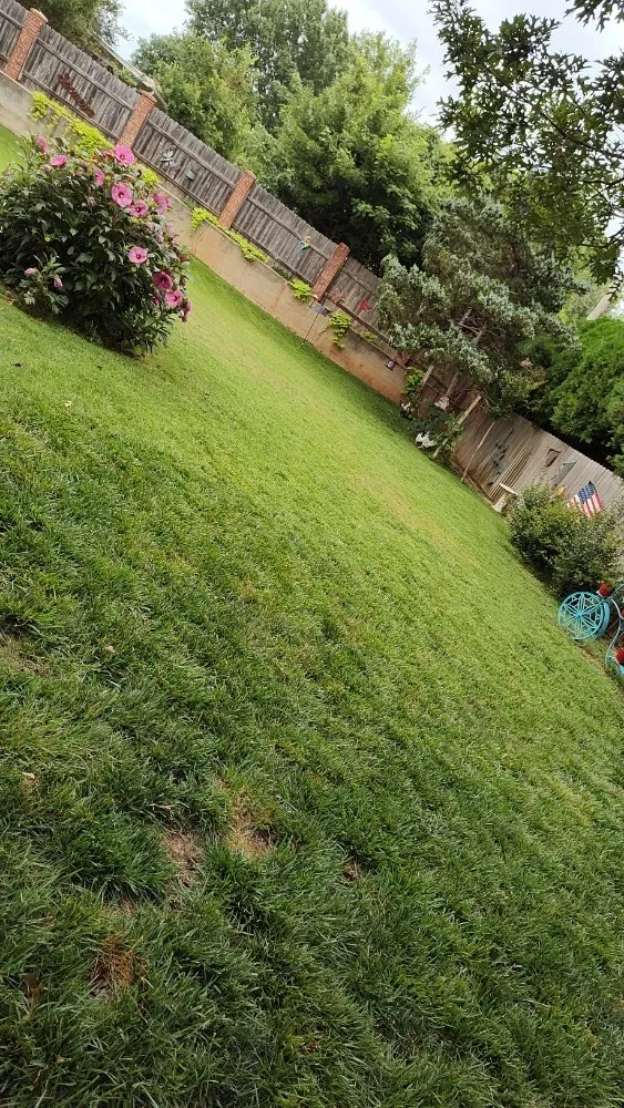Professional lawn care service near you in Duncan, OK by Patrik's Yard Care