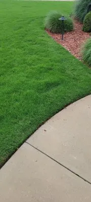 Patrik's Yard Care Logo