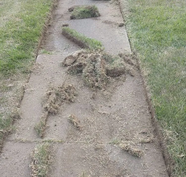 Trusted garden landscaping with custom design in Hubbard, OH by Patriot Brothers Lawn Care