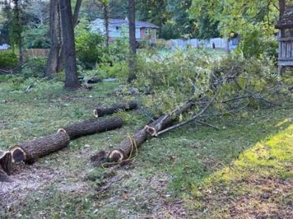 Reliable landscape installation in Farmington Hills, MI - Patriot Concrete Customs & Lawns