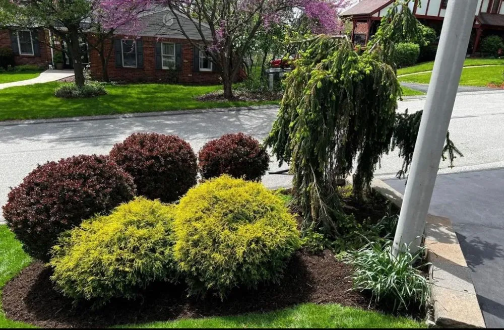 Professional landscape design for year-round maintenance across Bethel Park, PA - Patriot Contracting