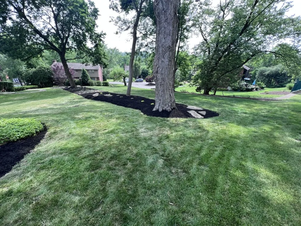 Top-rated outdoor landscaping in Bethel Park, PA by Patriot Contracting