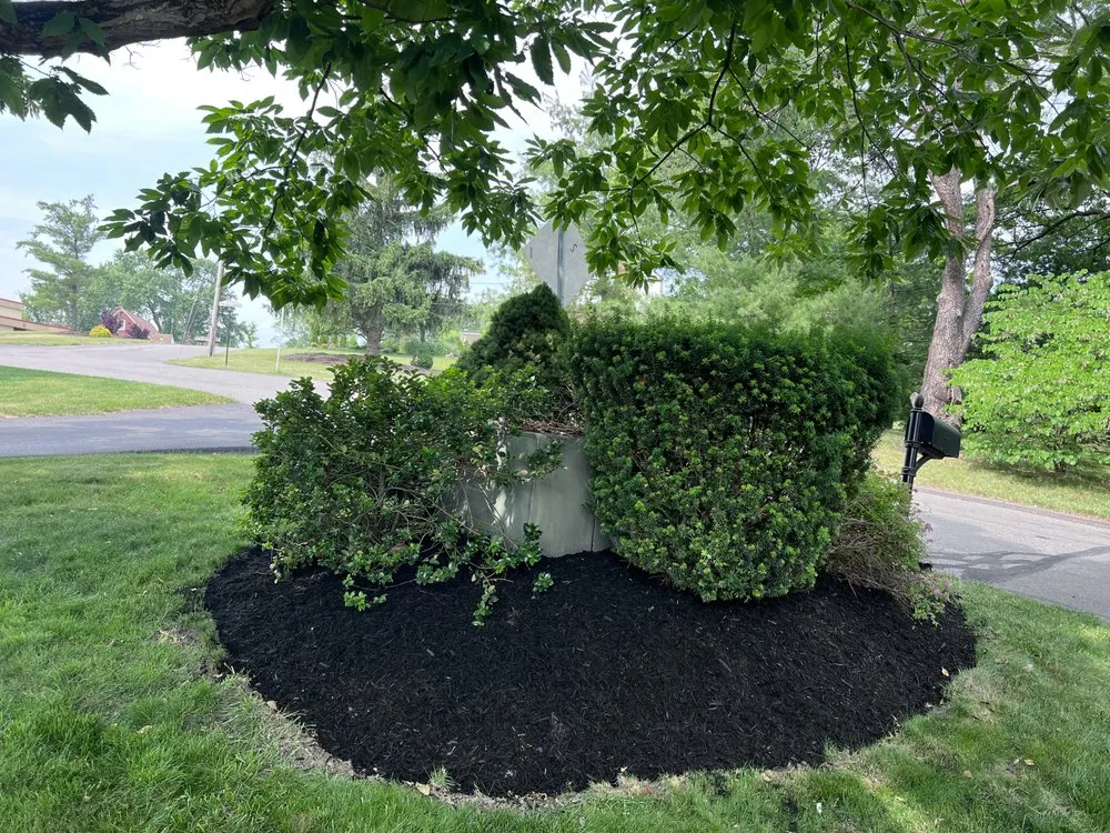 Top-rated landscape installation in Bethel Park, PA - Patriot Contracting