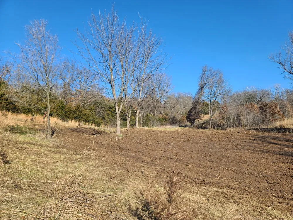 Local landscape design in Sedalia, MO by Patriot Dirtworx