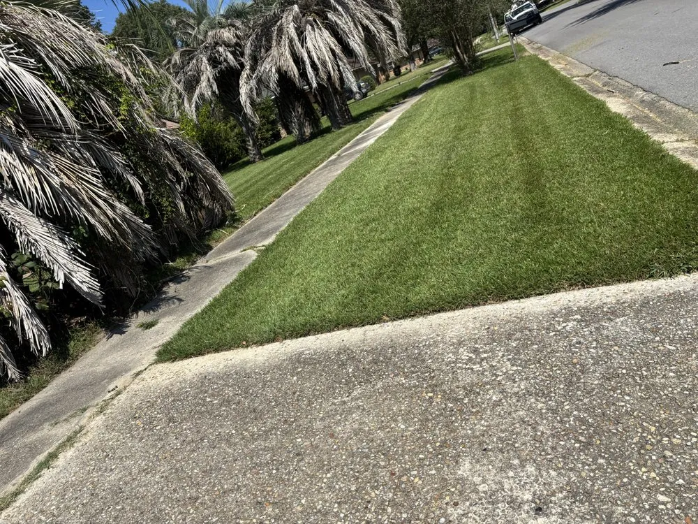 Custom landscape design experts serving Zachary, LA - Patriot Exteriors