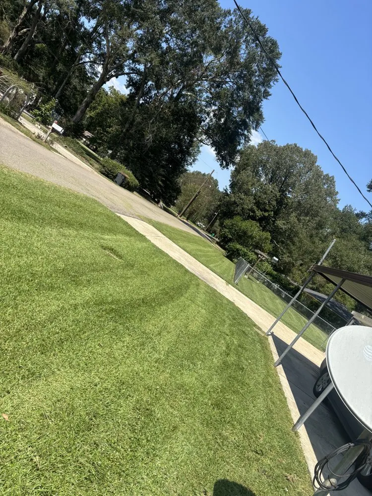 Top-rated outdoor landscaping experts serving Zachary, LA - Patriot Exteriors