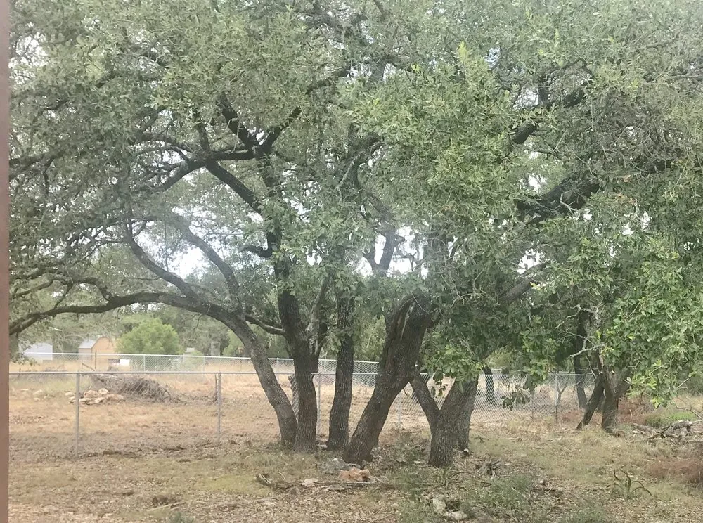 Professional lawn care service with custom design across San Marcos, TX - Patriot Fencing, Lawn & Landscape