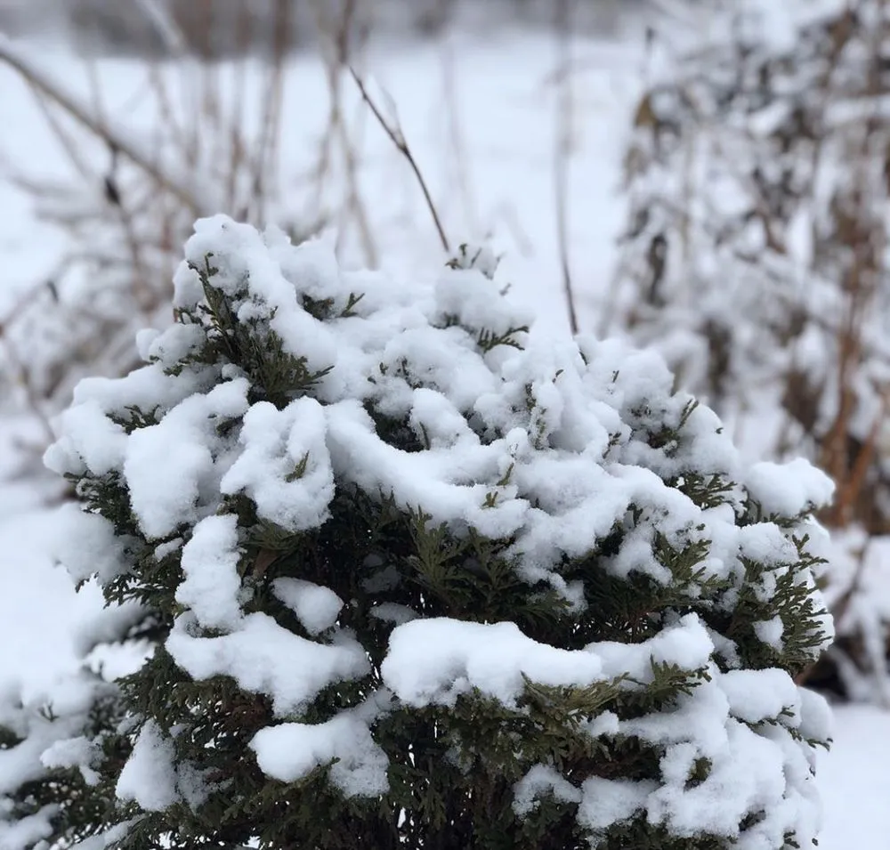 Custom landscaping services for residential properties in Clinton, NY by Patriot Gardens