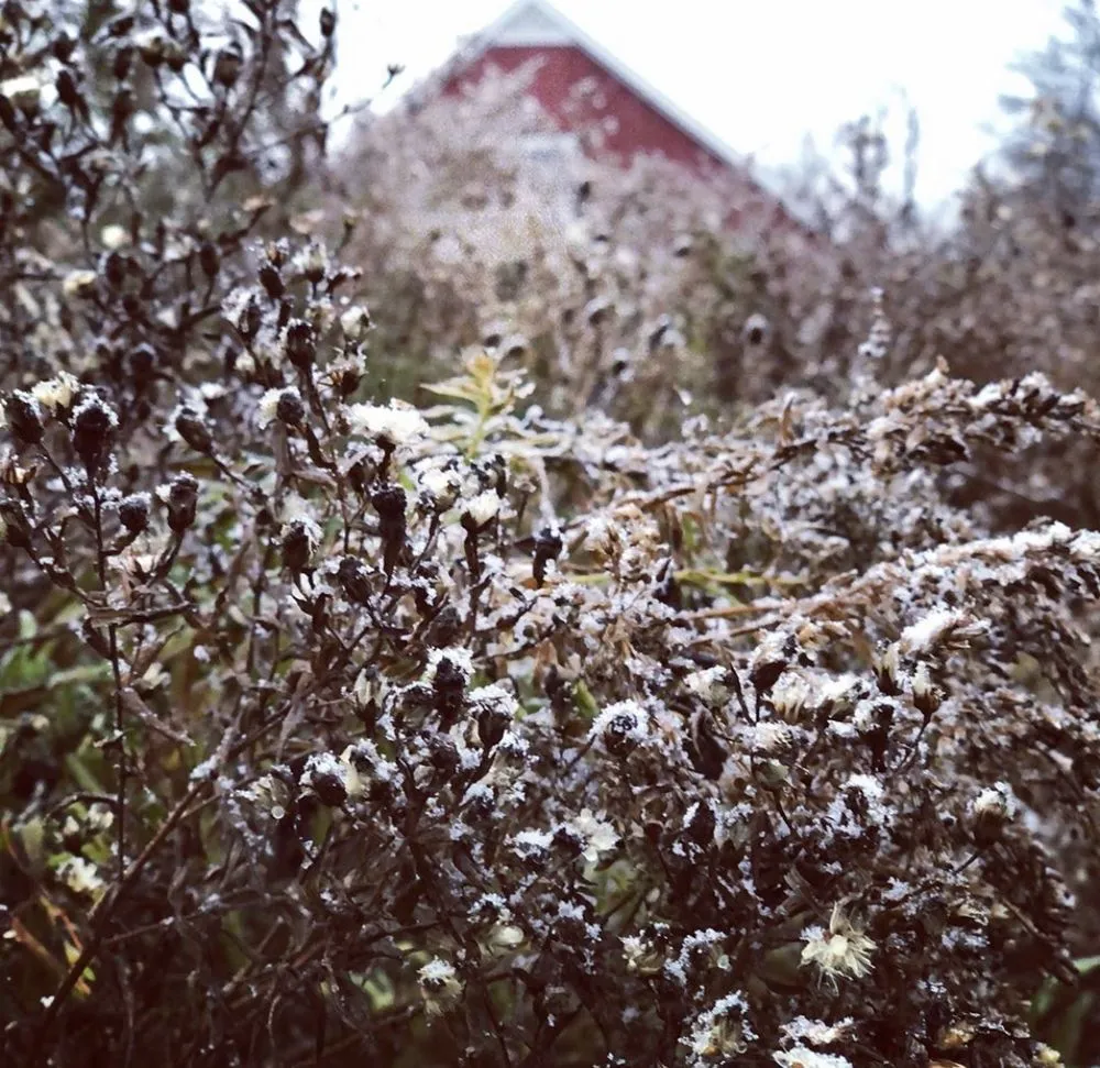 Professional garden landscaping for outdoor upgrades in Clinton, NY by Patriot Gardens