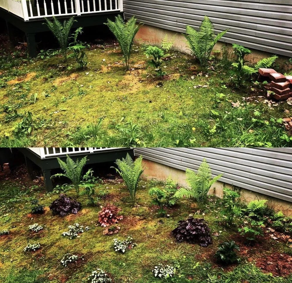 Trusted lawn mowing service experts serving Clinton, NY - Patriot Gardens