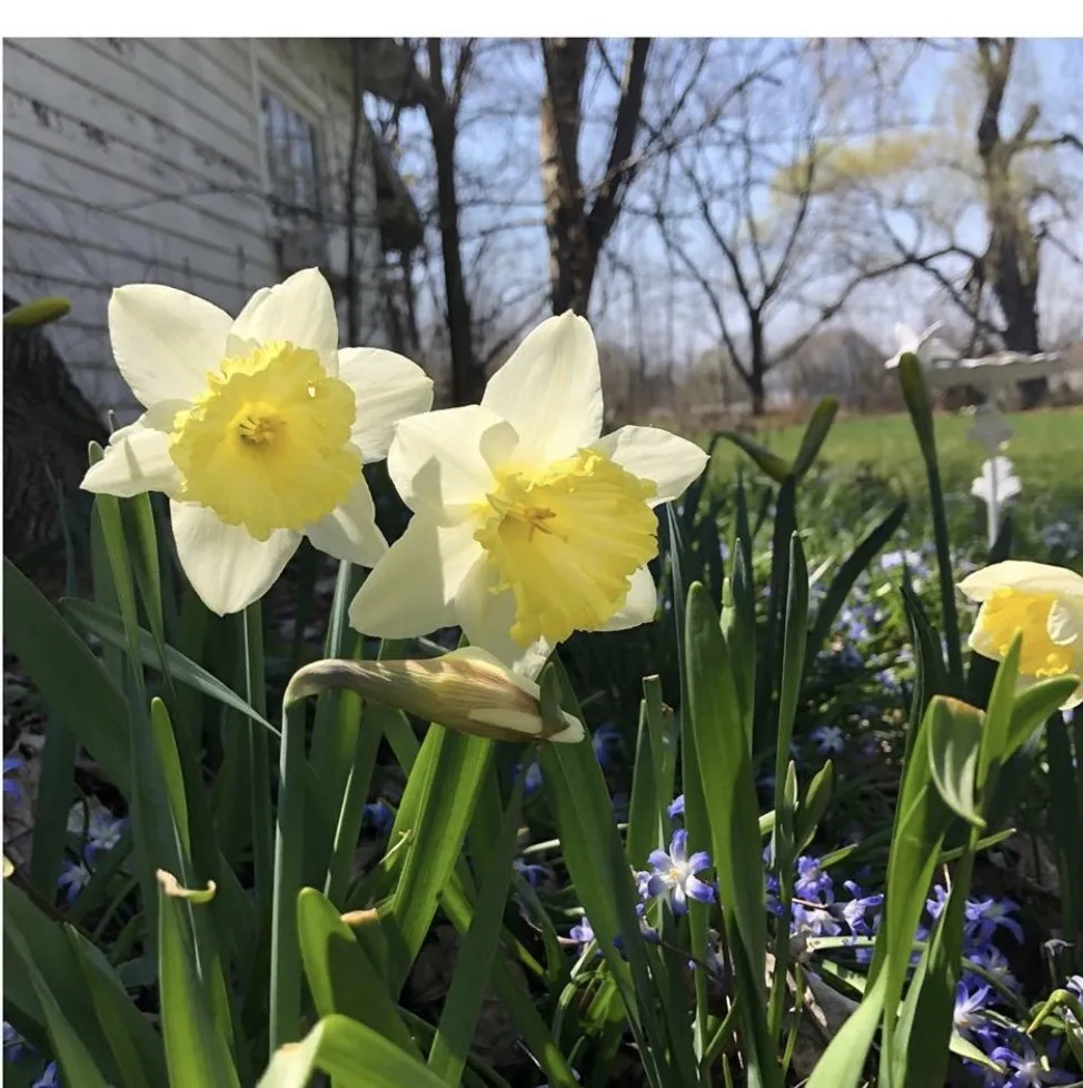 Custom outdoor landscaping in Clinton, NY by Patriot Gardens