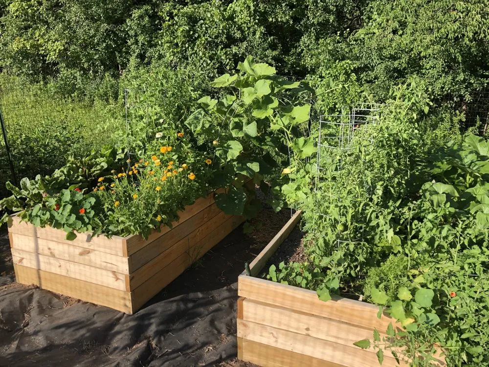 Expert yard cleanup service in Clinton, NY - Patriot Gardens