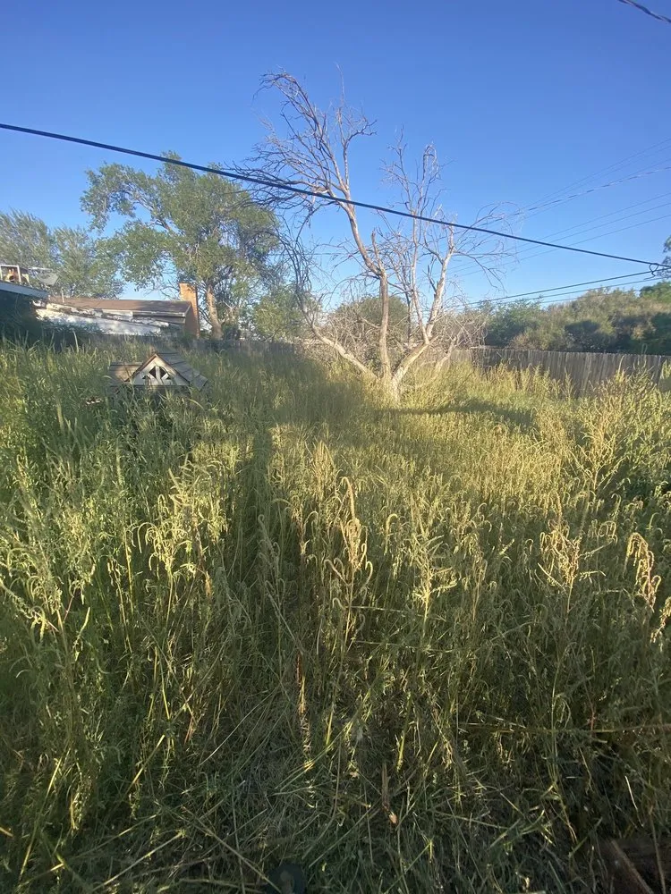 Professional yard maintenance for outdoor upgrades across Midland, TX - Patriot Handyman Services