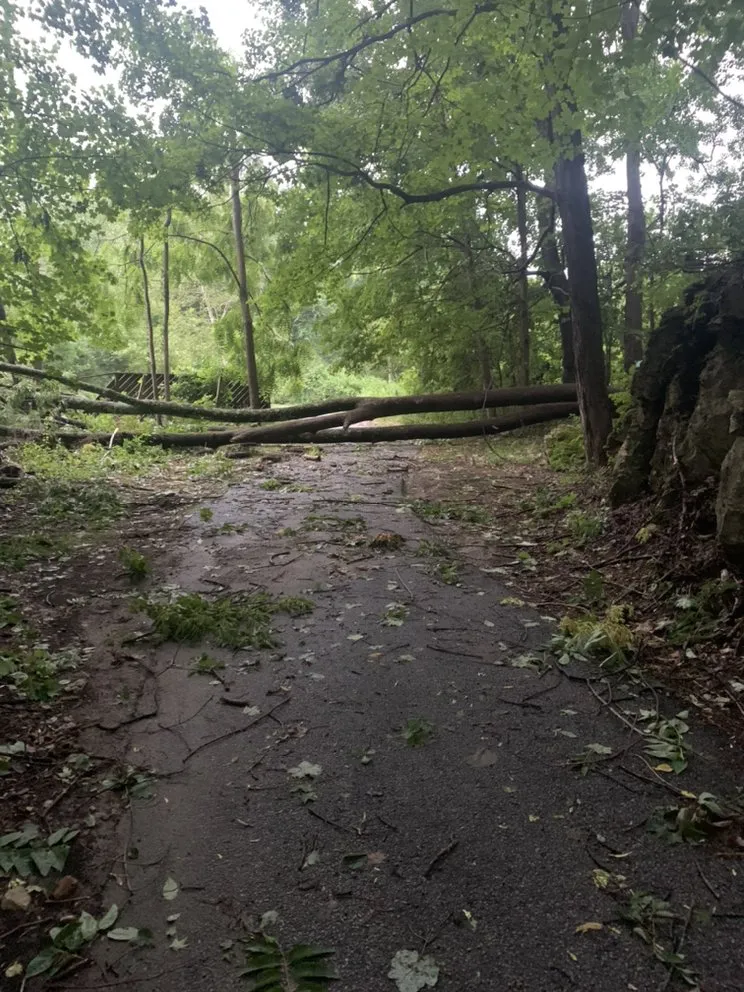 Top-rated landscape installation in Lima, NY - Patriot Home & Lawn