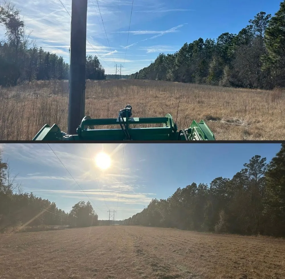 Reliable residential landscaping for residential properties in Pelion, SC by Patriot Land Management Services