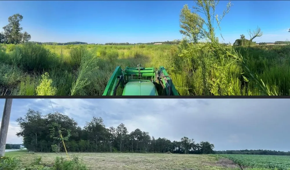 Custom lawn mowing service experts serving Pelion, SC - Patriot Land Management Services