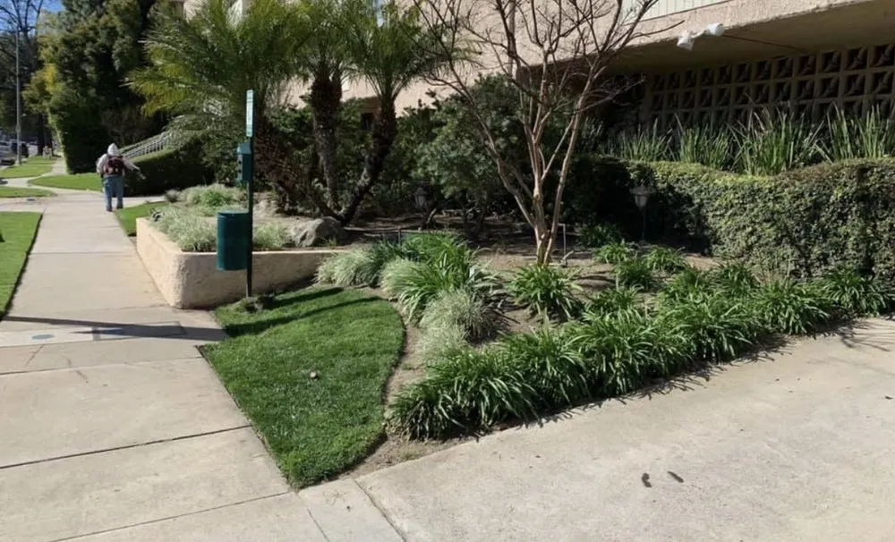 Expert landscape design in Stevenson Ranch, CA by Patriot Landcare