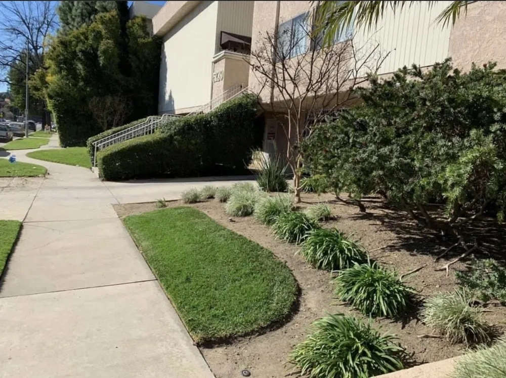 Reliable lawn care service in Stevenson Ranch, CA - Patriot Landcare