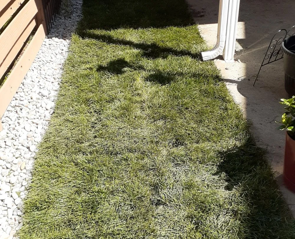 Custom landscaping services experts serving Hauser, ID - Patriot Landscape Construction