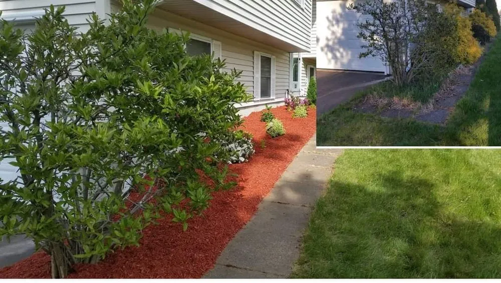 Top-rated yard cleanup service in West Springfield, MA by Patriot Landscape, Design, & Construction