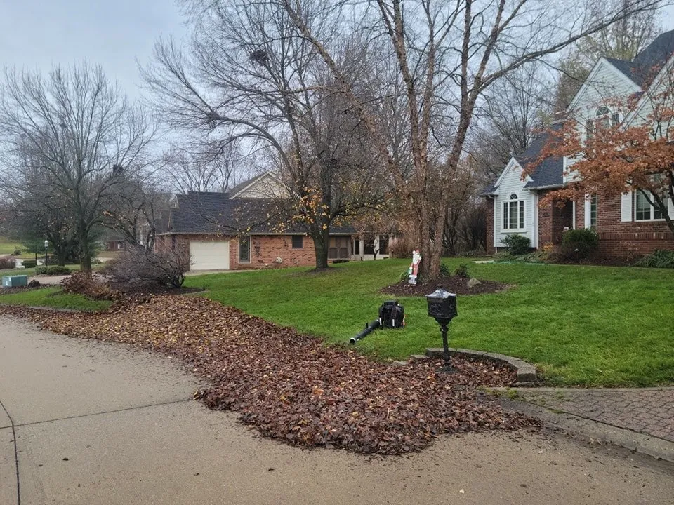Top-rated outdoor landscaping for beautiful yards across Marine, IL - Patriot Landscape