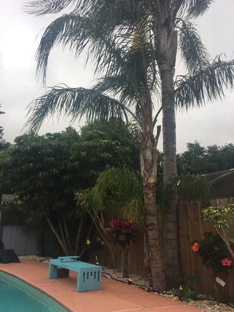 Custom outdoor landscaping experts serving Corpus Christi, TX - Patriot Landscape Pro