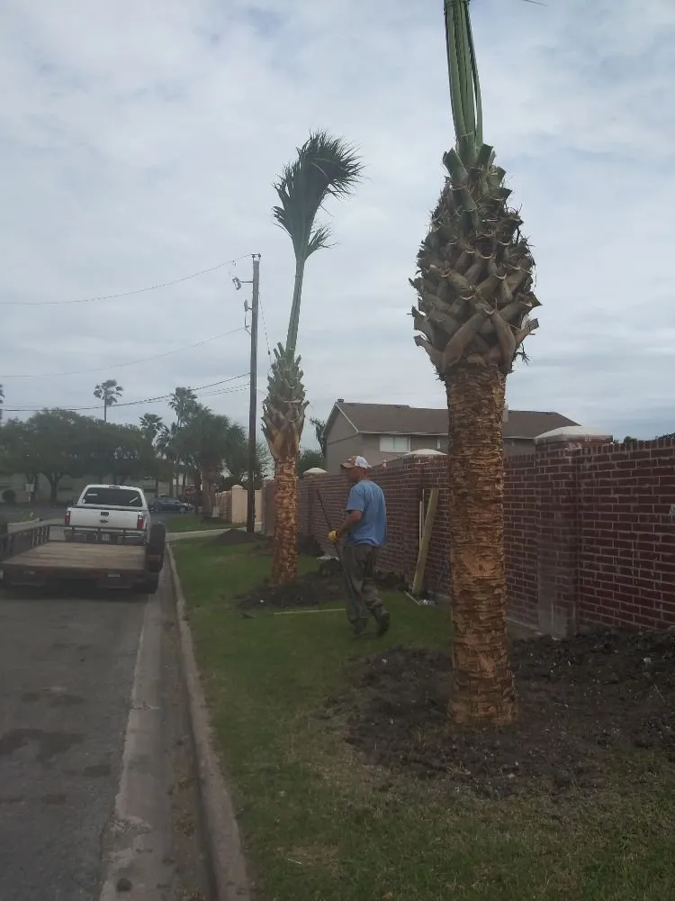Reliable yard cleanup service experts serving Corpus Christi, TX - Patriot Landscape Pro