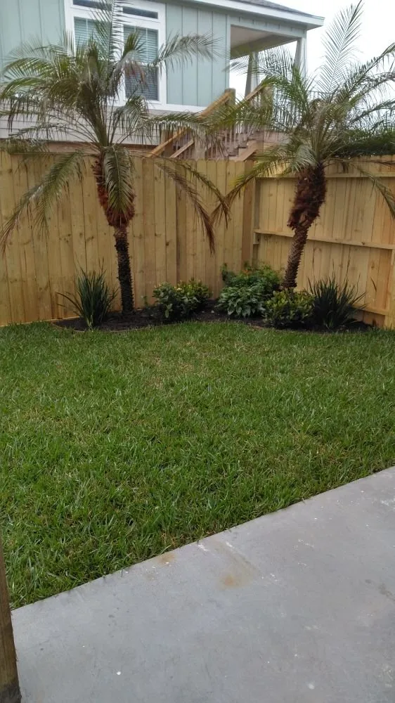 Custom landscape installation for year-round maintenance in Corpus Christi, TX by Patriot Landscape Pro