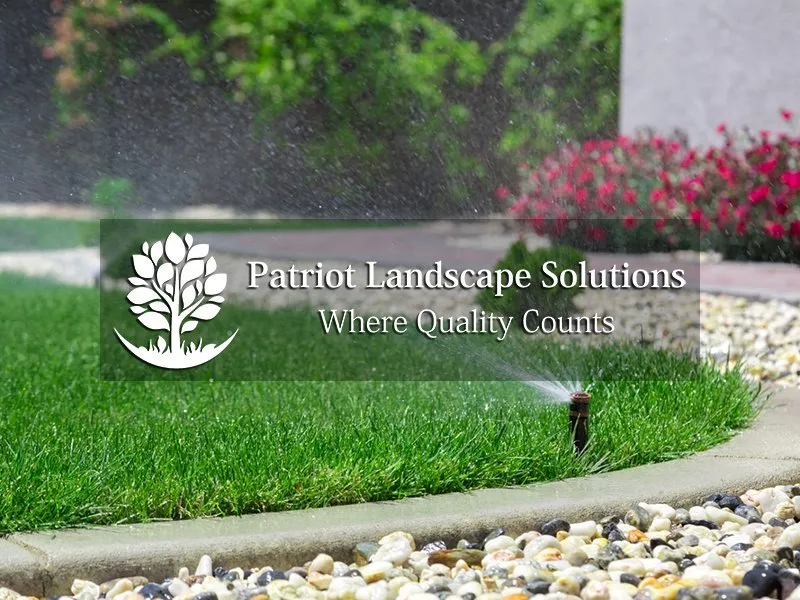 Professional yard cleanup service experts serving Destin, FL - Patriot Landscape Solutions