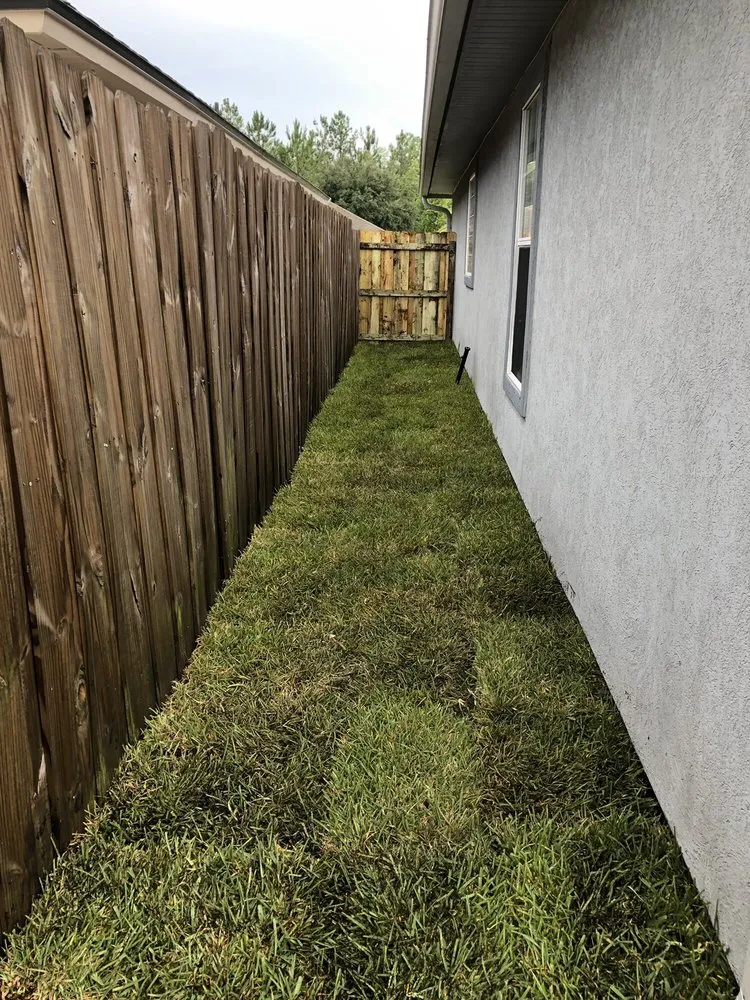 Affordable landscaping services for year-round maintenance across Jacksonville, FL - Patriot Landscape Solutions