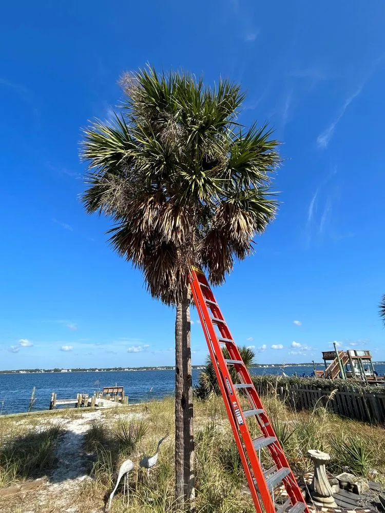 Trusted landscape installation in Milton, FL - Patriot Landscaping